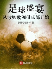 中国人收购的欧洲足球队