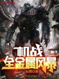 金属机器人大战中文版