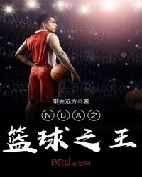 nba篮球之王小说